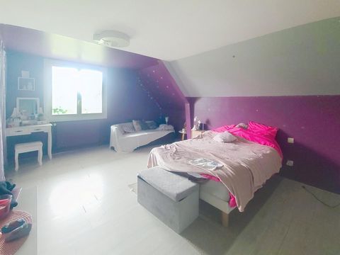 photo no. 8