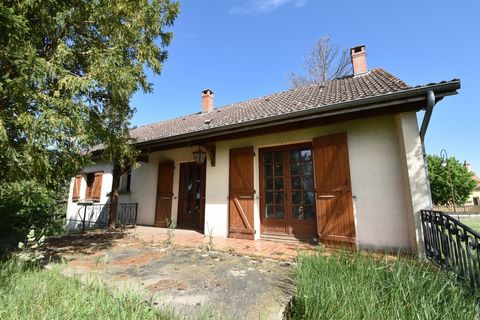 photo no. 1