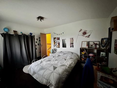 photo no. 11