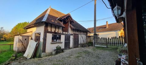 photo no. 2