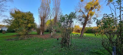 photo no. 5