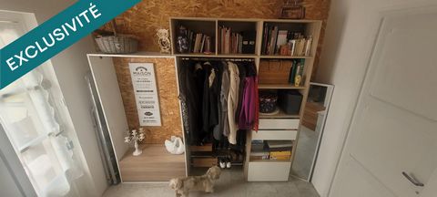 photo no. 10