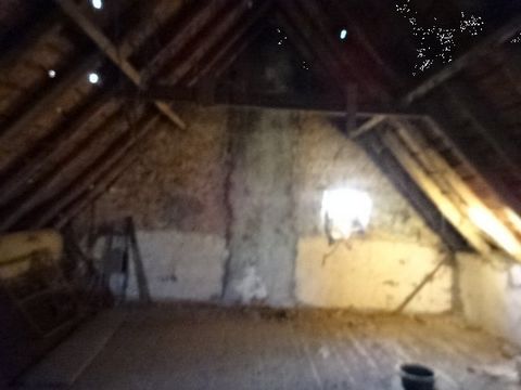 photo no. 11