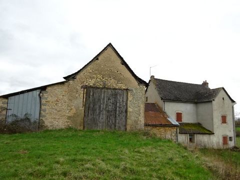 photo no. 19