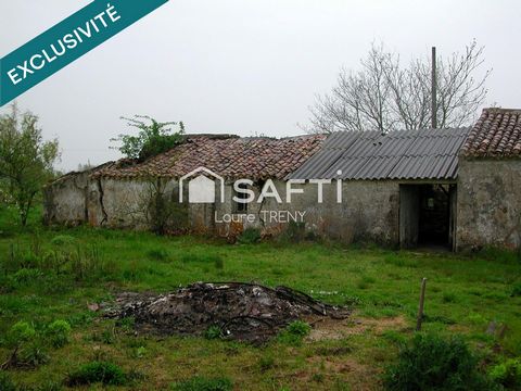 photo no. 2