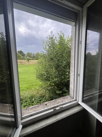 photo no. 12