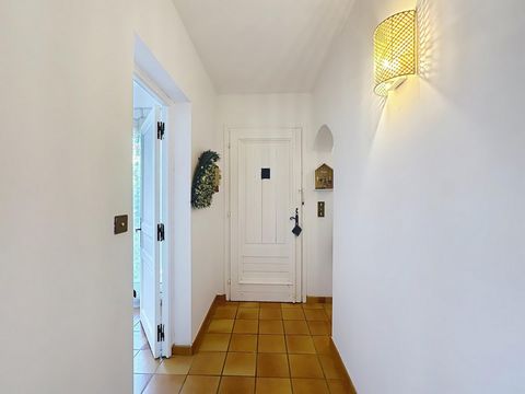 photo no. 4