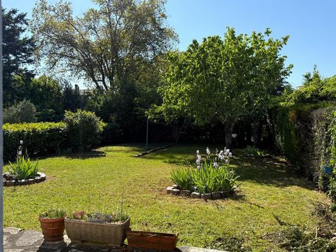 photo no. 11