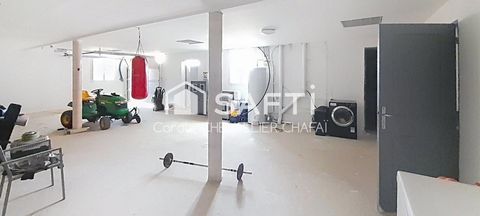 photo no. 9