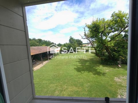 photo no. 13