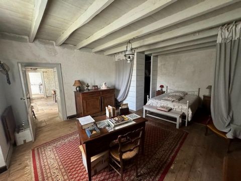 photo no. 12