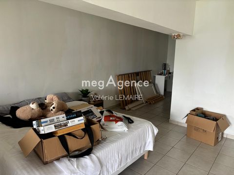 photo no. 11