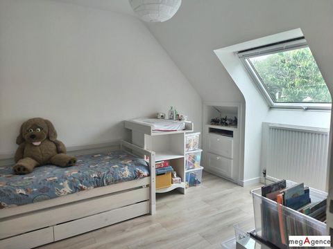 photo no. 12