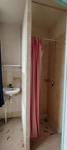 photo no. 13
