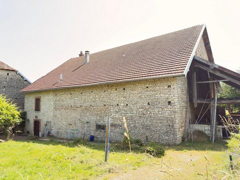 photo no. 2