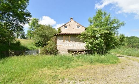 photo no. 6