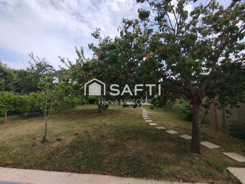 photo no. 2