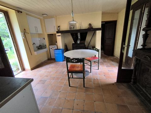 photo no. 4