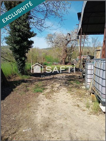 photo no. 2
