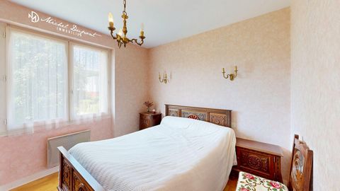 photo no. 10