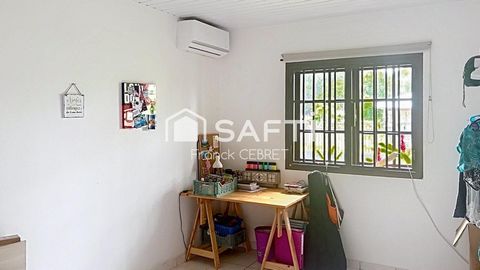 photo no. 6