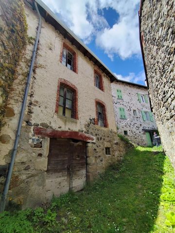 photo no. 11