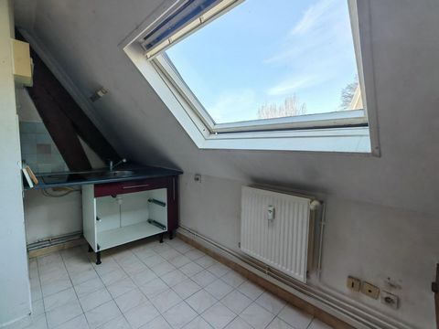 photo no. 2