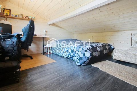 photo no. 12