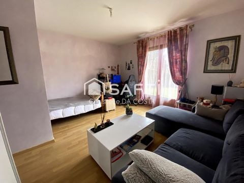 photo no. 14