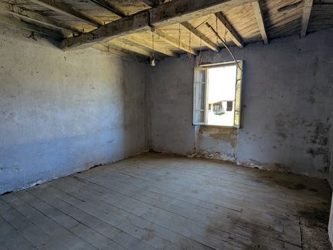 photo no. 9