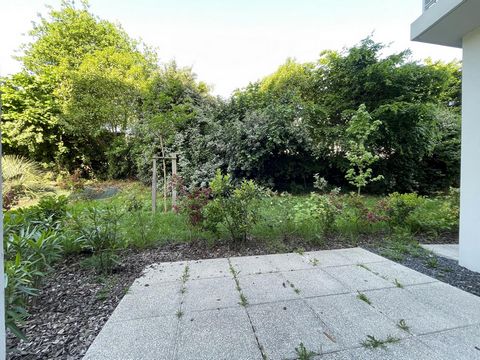 photo no. 7