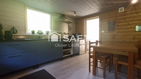 photo no. 15