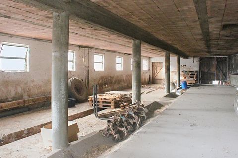 photo no. 3