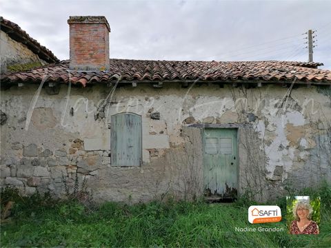 photo no. 5