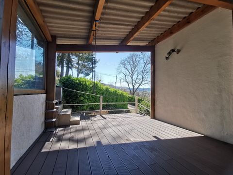 photo no. 16