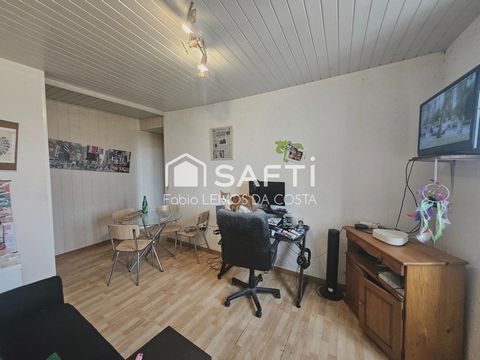 photo no. 12