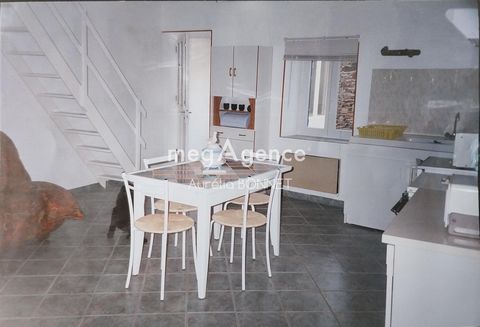 photo no. 5
