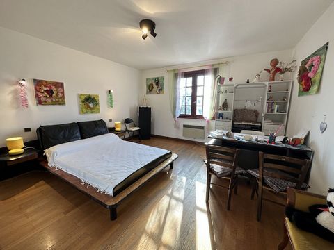 photo no. 4