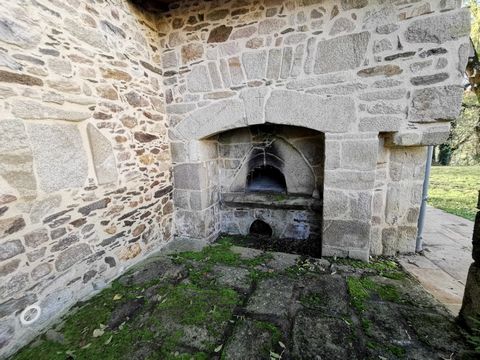 photo no. 19