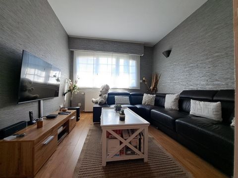 photo no. 6