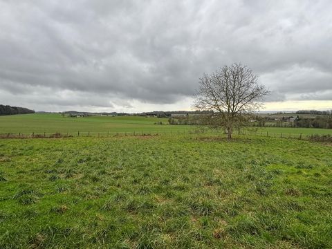 photo no. 3