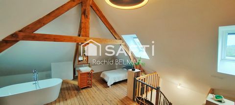 photo no. 8