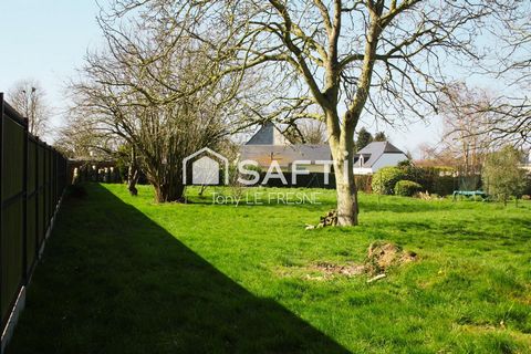 photo no. 11