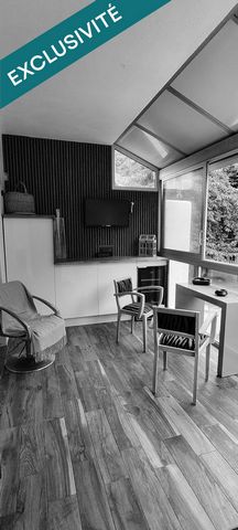 photo no. 11