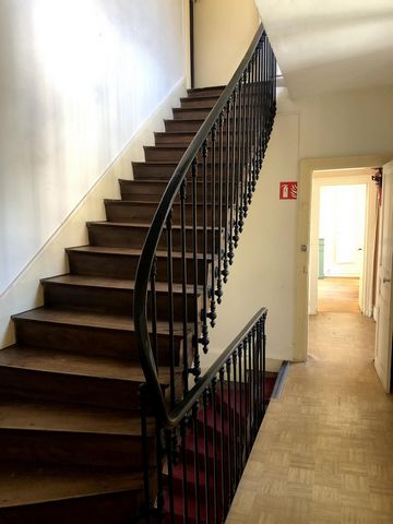 photo no. 17