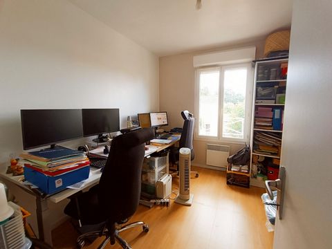 photo no. 10