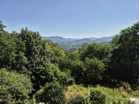 photo no. 2