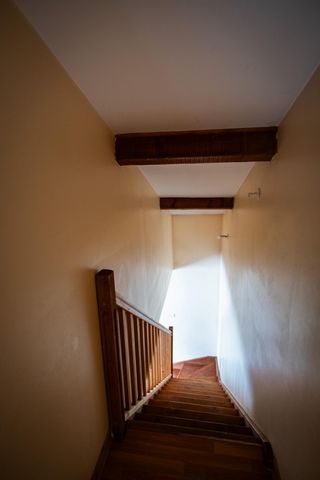 photo no. 8