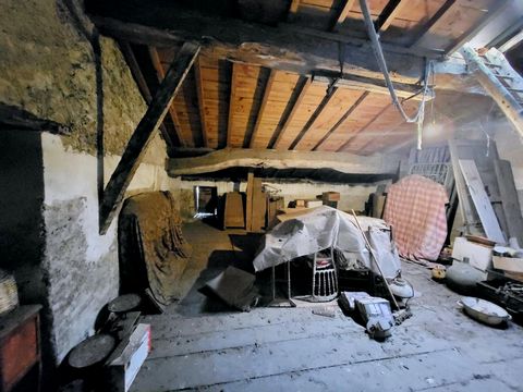 photo no. 12
