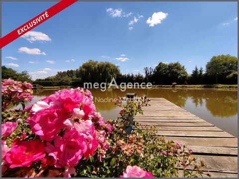 Propriété de Sologne, 2 maisons de 178 et 93 m² un étang et piscine
